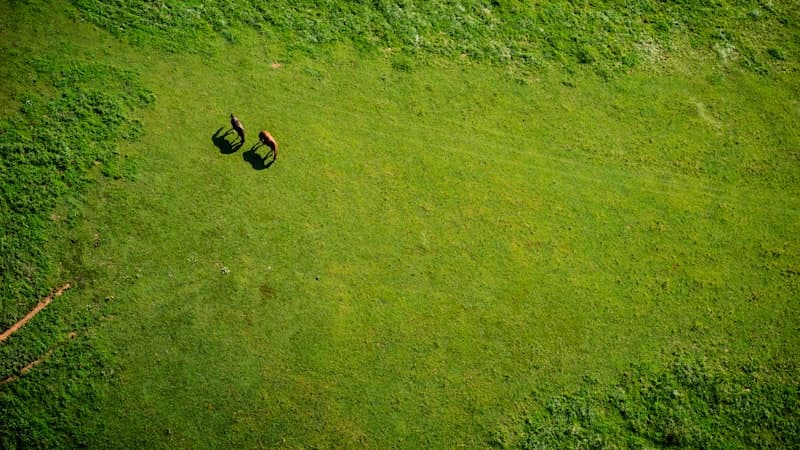 Diagnóstico eletrônico automotivo: entenda para que serve o scanner